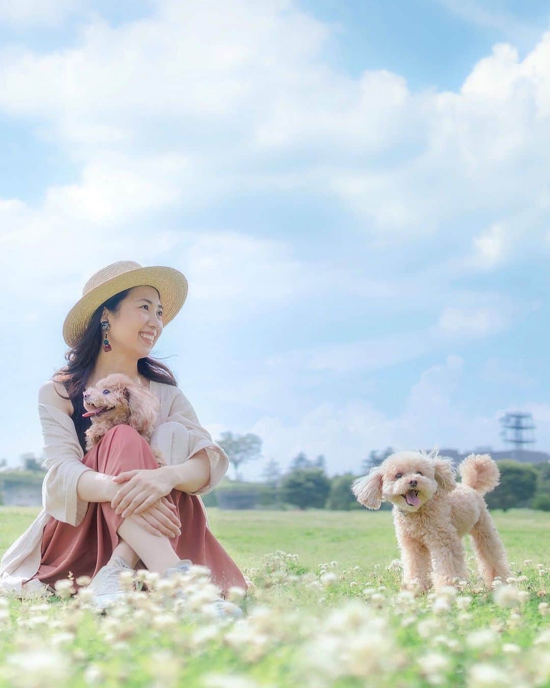 mikicoco00のインスタグラム：「* * 色んな方向にみんな笑顔♡笑 * * 今日は久々にトリミングへ🐶✂️ しっぽがポイント💁‍♀️🙊💓(2枚目) * * * * #休日#お散歩#笑顔#過去写真  #愛犬#犬#dog#dogstagram#犬のいる暮らし  #あんめる#青空#トリミング#ふわもこ」