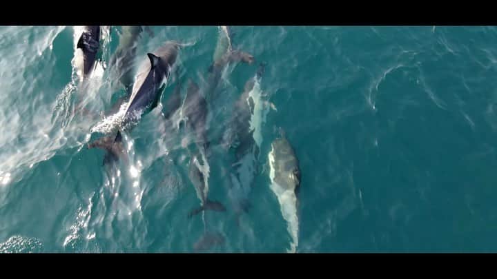 山中海輝のインスタグラム：「・ ・ Yahoo!Japan creatorsに新しい動画を公開しました。 今回の動画は高知県で撮影したものです。サビまで観ないとこの動画の良さがわからないので是非サビまで観てほしいです。笑  フルバージョンは「ヤフークリエイターズ　山中海輝」と検索  #mavicair2  #高知県 @dear__sir @dji_japan」