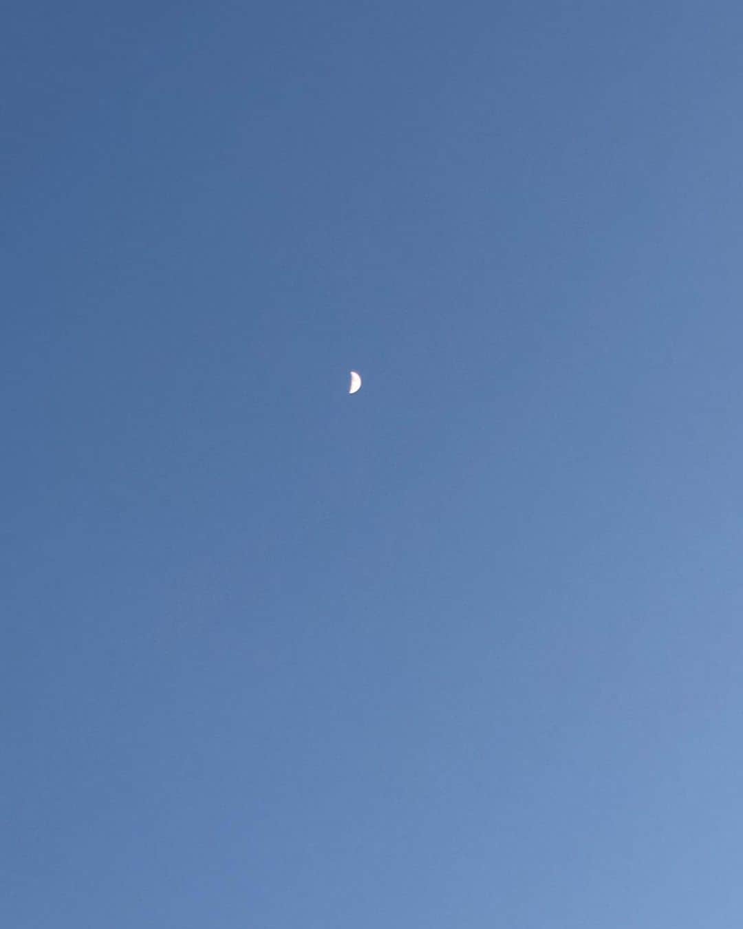 中野みやびのインスタグラム：「いつかの月  #月 #moon #空 #sky #綺麗 #shotoniphone #綺麗 #お気に入り #picture #写真 #photo #民謡ガールズ #みやび」