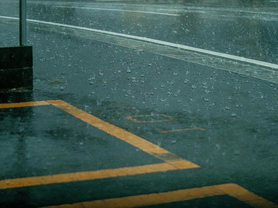 石松大晟さんのインスタグラム写真 - (石松大晟Instagram)「・﻿ 🐒🏵☔️﻿ ﻿ #動物と花を見て雨に打たれた日 #楽しかったから良し ﻿ #1枚目は猿﻿ #2枚目は紫陽花  #3枚目は急な大雨」6月7日 22時02分 - taiseiishimatsu