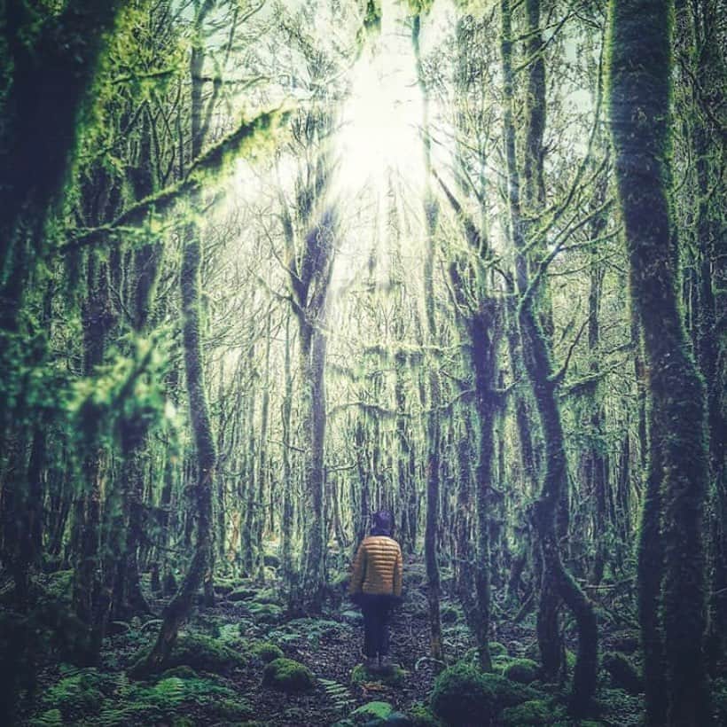 ウー ヨン ミのインスタグラム：「Getting lost in green」
