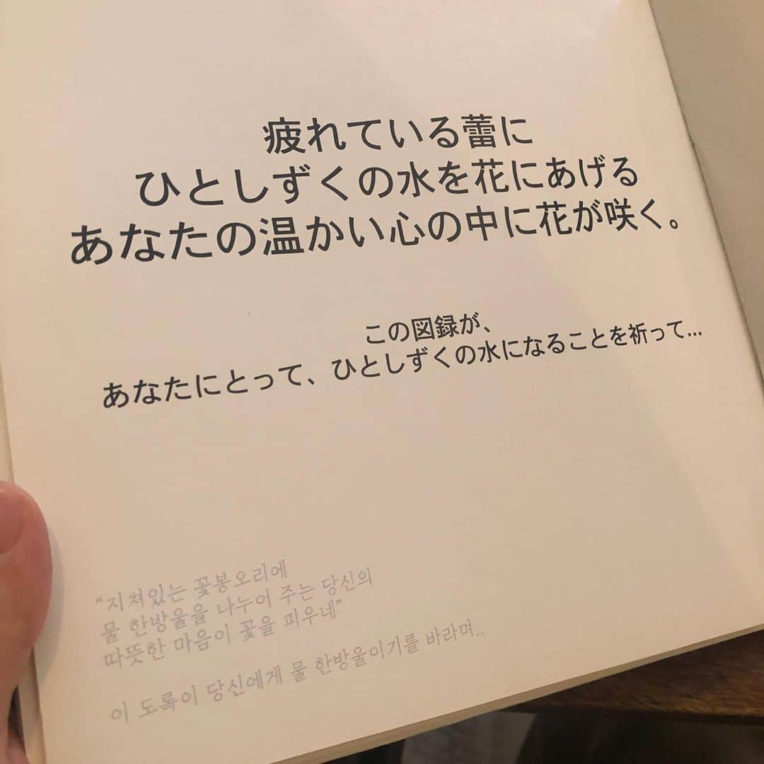 ジョンジンさんのインスタグラム写真 - (ジョンジンInstagram)「- 마우스래빗 리모델링 공사 정리를 하다가 오랜만에 발견한 📖」6月7日 23時36分 - iamkijoji