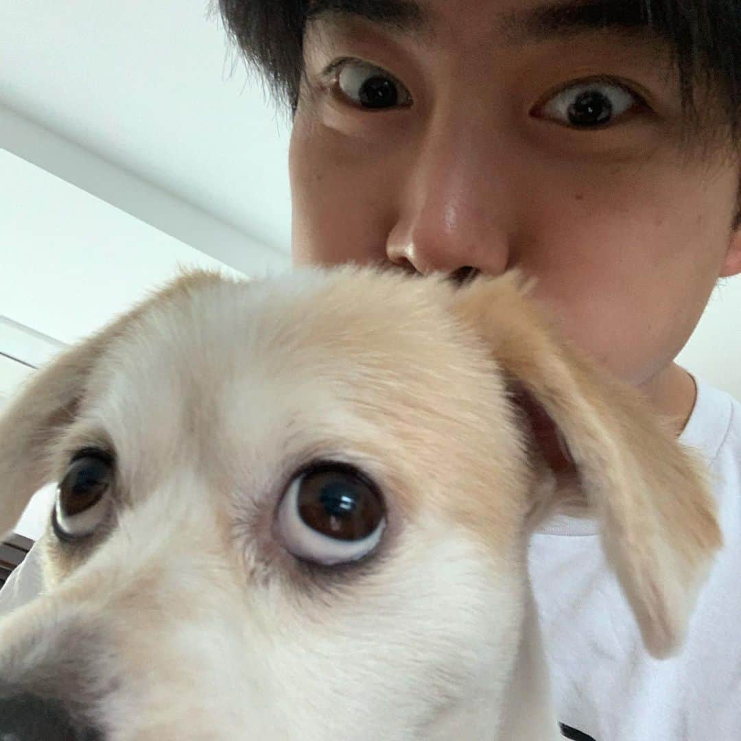 テギョンさんのインスタグラム写真 - (テギョンInstagram)「Eddie looks so puzzled lol @eddieakagaedi」6月8日 10時35分 - taecyeonokay