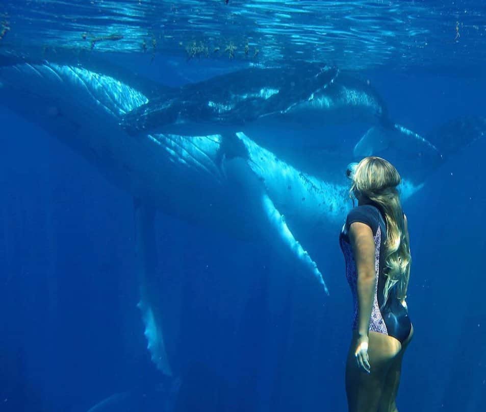 フェリシティー・パルマティアーのインスタグラム：「Happy World Oceans Day! 💙💙💙 The one constant in my life - the ocean. Always teaching me and always challenging me, what I think I know and what I do know. Experiences in the ocean keep me incredibly present with what’s going on in that exact moment, it’s a tap into a pure energy source for me. Let’s keep on protecting and looking after the lungs of our planet 🌍💙 Magical moment captured by @tdk_creative in Tahiti」