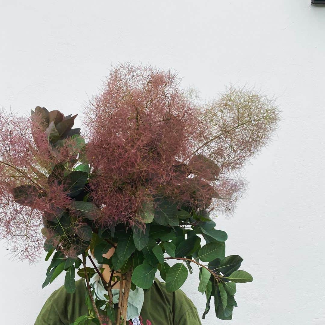 MILLE ECLAT.のグルメインスタ