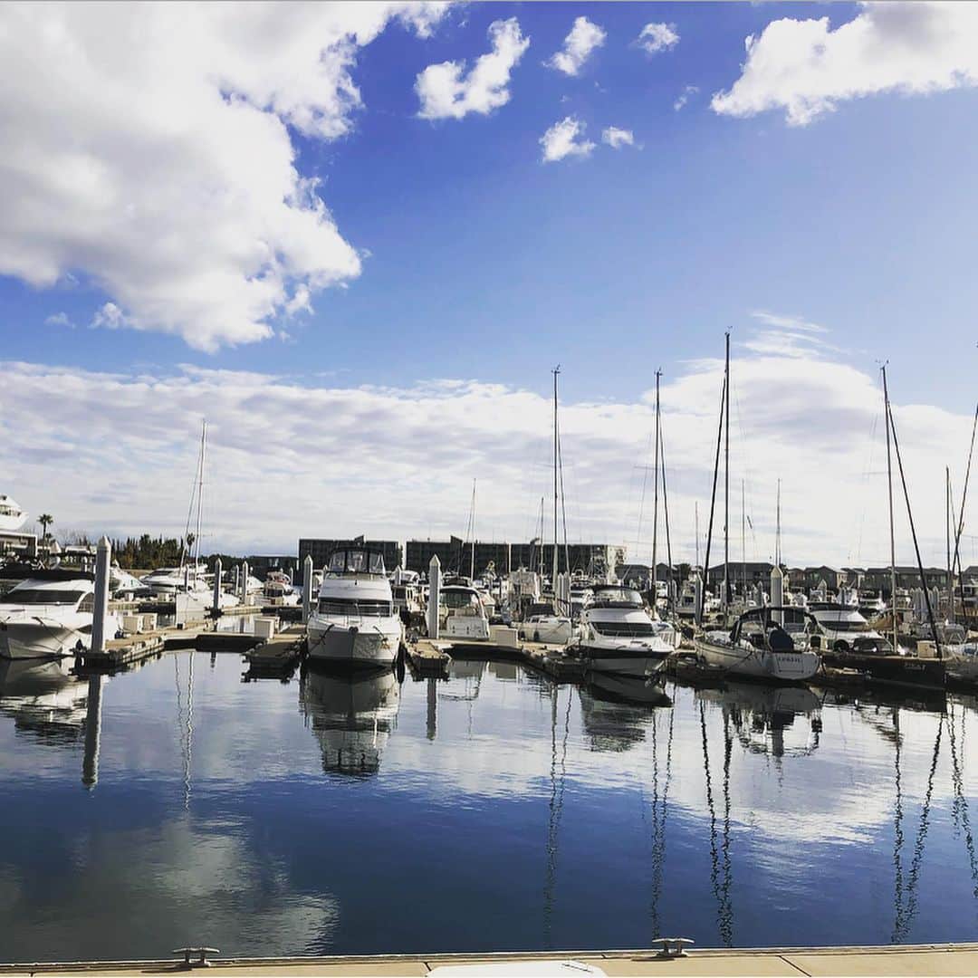鈴木絢子さんのインスタグラム写真 - (鈴木絢子Instagram)「・ ・ 【芦屋マリーナ⛴】 関西屈指のリゾート地！と個人的に思っている、芦屋マリーナにて🤗 ・ 海外から一時帰国中の素敵ご夫妻と☕️ マリーナの爽やかな風と海外トークで、 すっかり海外にいるような気分になれました🌴✨ ・ 海外旅行に行けない今、 近場の国内のリゾートを満喫するのも悪くない🌟 ・ 特に関西エリアでは、これまで知らなかった風景に出会えていて。 住みやすさ以外の日本の素晴らしさを再発見できそうです🤗 ・ ・ ・ #芦屋マリーナ #ライフスタイル #働く女性 #理想の働き方 #フリーランス #芦屋 #芦屋カフェ #テラス席 #快晴 #犬連れドライブ #リゾート #絵画のような #海辺 #テラスハウス #関西お出かけ #海外移住 #ベイコート芦屋 #seaside #resort #kobejapan #⛴」6月8日 2時37分 - ayako_suzuki810