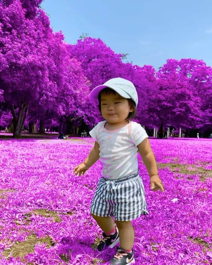 SONNYのインスタグラム：「この約2ヶ月今までの人生で1番頭使ったんじゃないかってぐらい思考と神経使い、ありがたい事にチャレンジな日々を送ってます。  教育の現場では色んな意味で新たな改革が求められ、自分もど真ん中に身を置いてますが、イレギュラーな学校業務を頼もしい職員の皆んなと全力で取り組んでます。  生徒には夢と希望を大切にしながらもモチベーションアップ。 通学＆校舎へ来る事への生徒＆保護者へ与える安心感。 オンライン授業。 分散登校。 校内ソーシャルディスタンス図りながらの授業。 少人数、分散型ダンスレッスン。 新たなガイドライン。 ニューノーマル。 学校作り。  毎日クタクタですが、 帰宅してから自然と出る口癖は. 『なんてやり甲斐のある仕事なんだ』 . . 今日は久々に朝から丸一日TIANAと過ごせて元気を沢山もらいました💜」