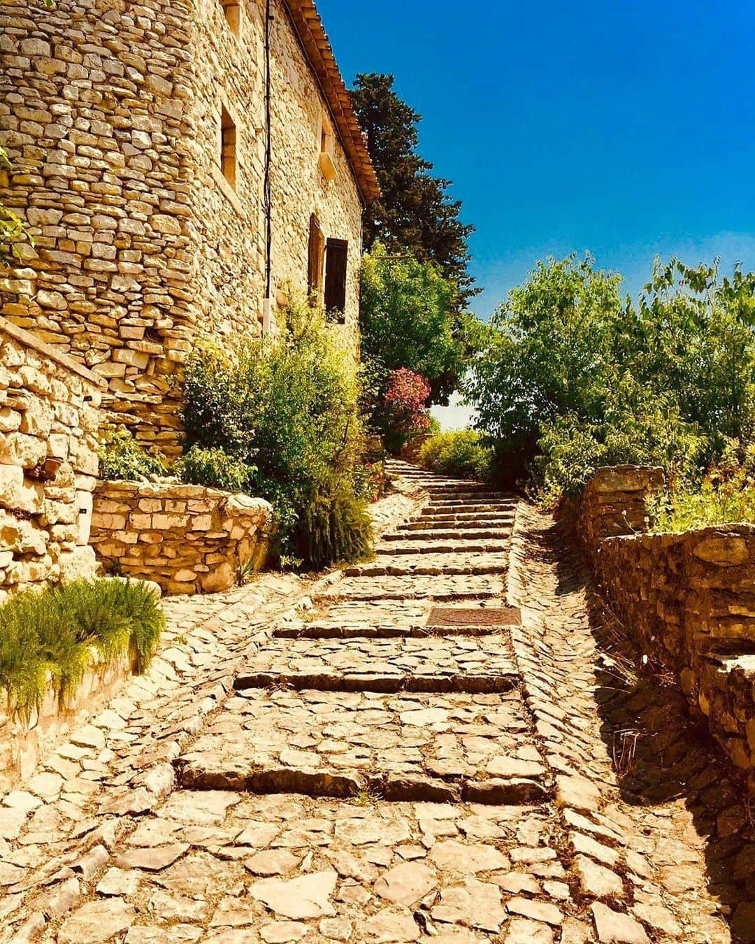 ロクシタンさんのインスタグラム写真 - (ロクシタンInstagram)「Will we ever stop being charmed by the quaint streets of the hilltop villages of Provence? Probably not. Leave a ☀️if you agree! ⁣#Regram 📸@la_baptistine_de_gordes #LOccitane #Joucas #Luberon #Provence #southoffrance」6月8日 3時00分 - loccitane