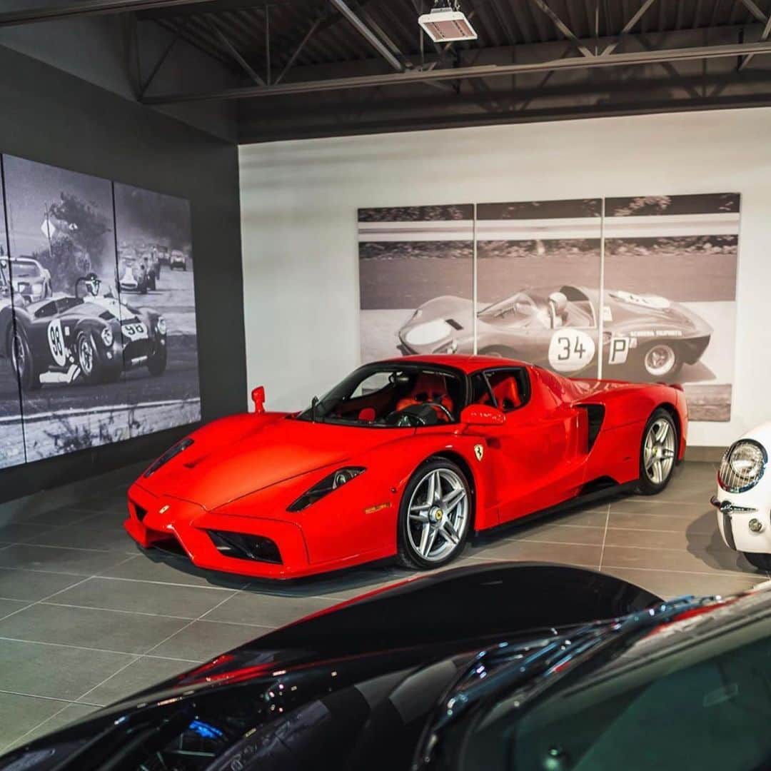 CarsWithoutLimitsさんのインスタグラム写真 - (CarsWithoutLimitsInstagram)「The legendary Ferrari Enzo 🌹 Owner @legendarymotorcar  Photo @therealabd  #carswithoutlimits #ferrari #enzo」6月8日 6時43分 - carswithoutlimits