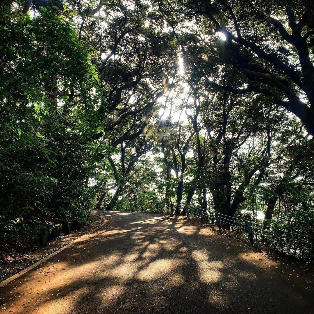 池内万作さんのインスタグラム写真 - (池内万作Instagram)「朝の半島ラン終了〜。 とはいえ最近は走ったり歩いたりですが。 モアイも緑に埋れてきたし、台風対策も進んでるし。 もうすぐ夏ですね〜♪ #ランでした #stopデ部 #真鶴半島」6月8日 7時37分 - mandeshita