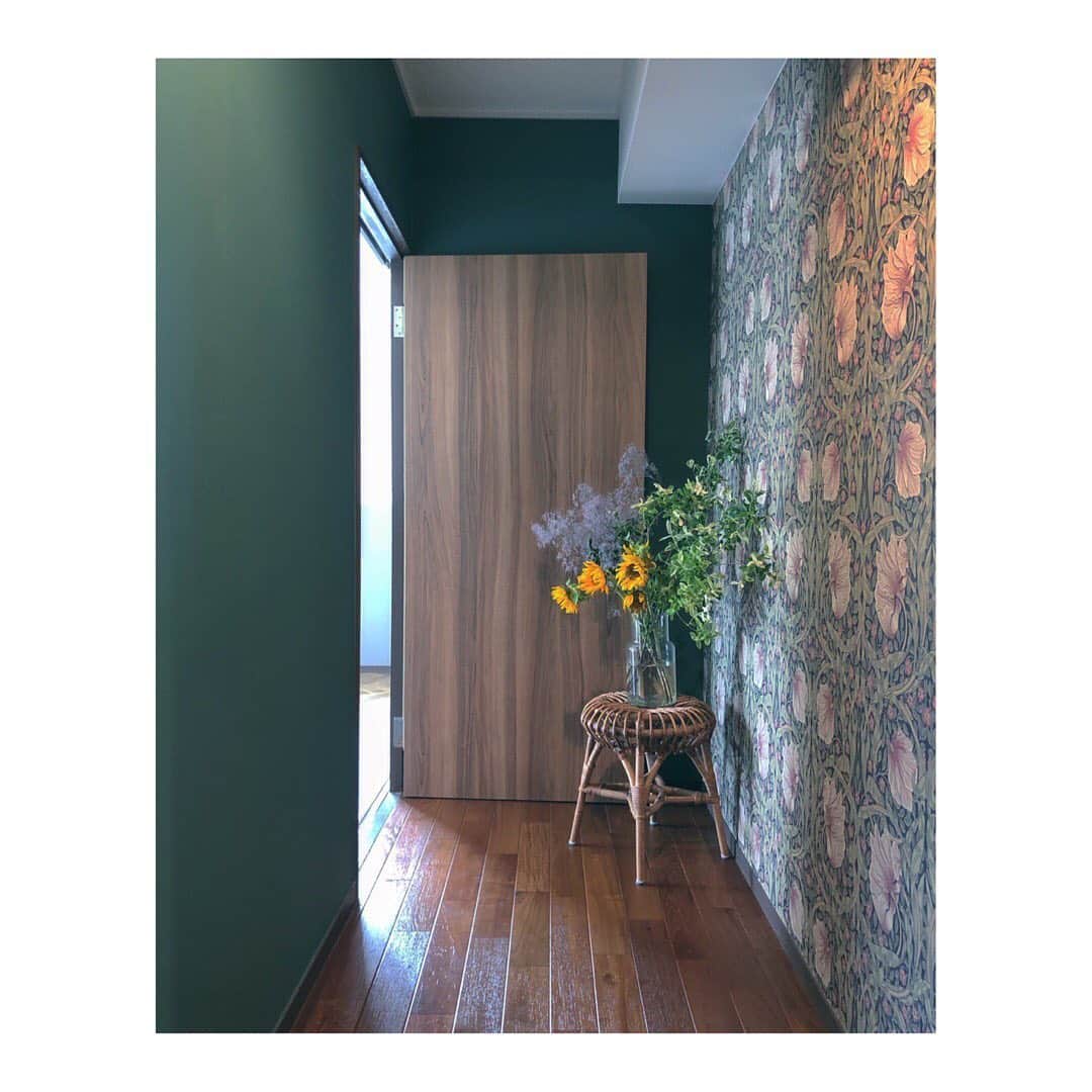 kiyoshi.tabuchiのインスタグラム