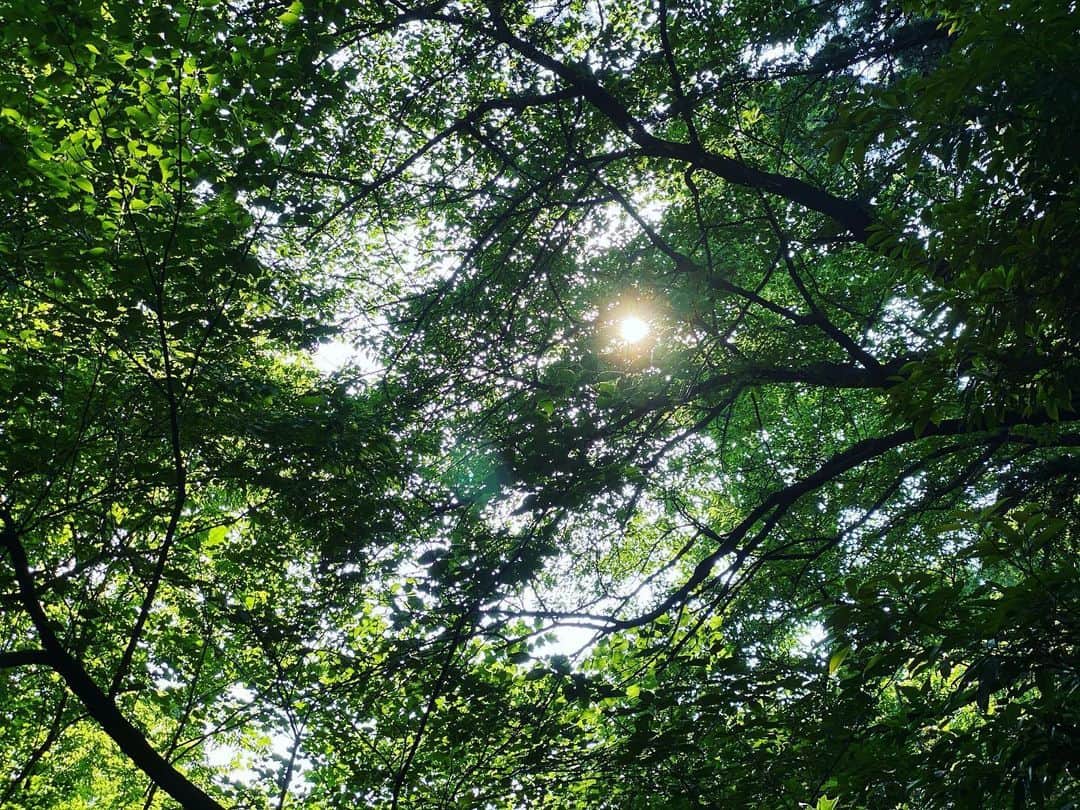 義文さんのインスタグラム写真 - (義文Instagram)「おはよう。  今週も僕は、  生きる 遊ぶ 学ぶ  #nature #自然体 #mylife #green」6月8日 8時03分 - yoshifumi_zanpa