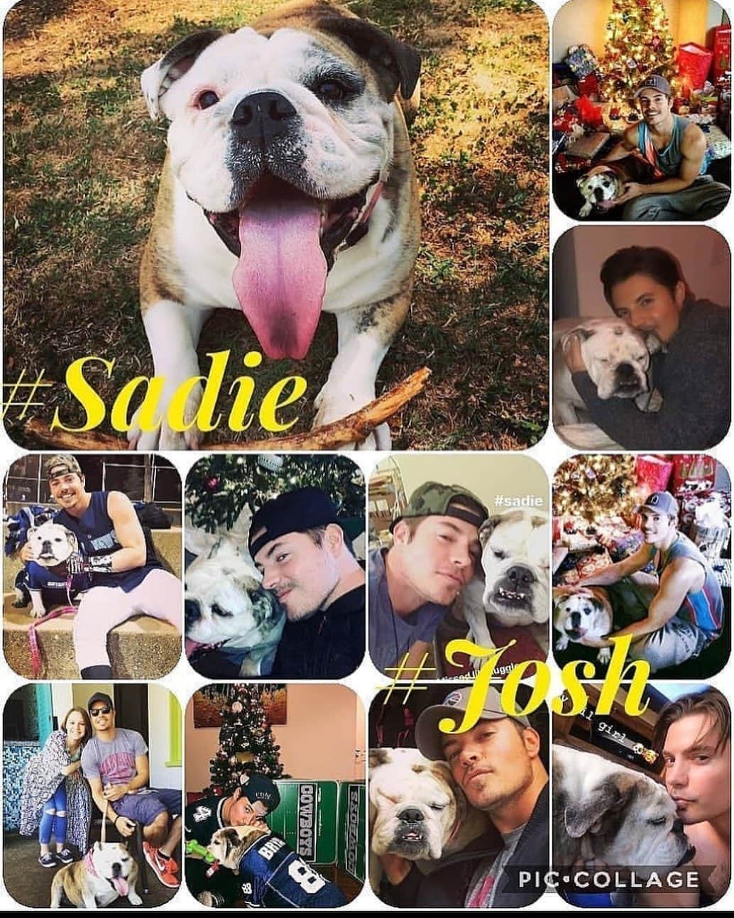 ジョッシュ・ヘンダーソンのインスタグラム：「HUUUUUGE Happy birthday TO MY LIL ANGEL SADIE GIRL. she turned 11 today. Yes 11 and she makes me so happy. Someone made this awesome collage for me ! If y’all have pets lemme know their names! They have no agenda and only know how to love. We could learn something from them :) Pretty special ☺️🤗」
