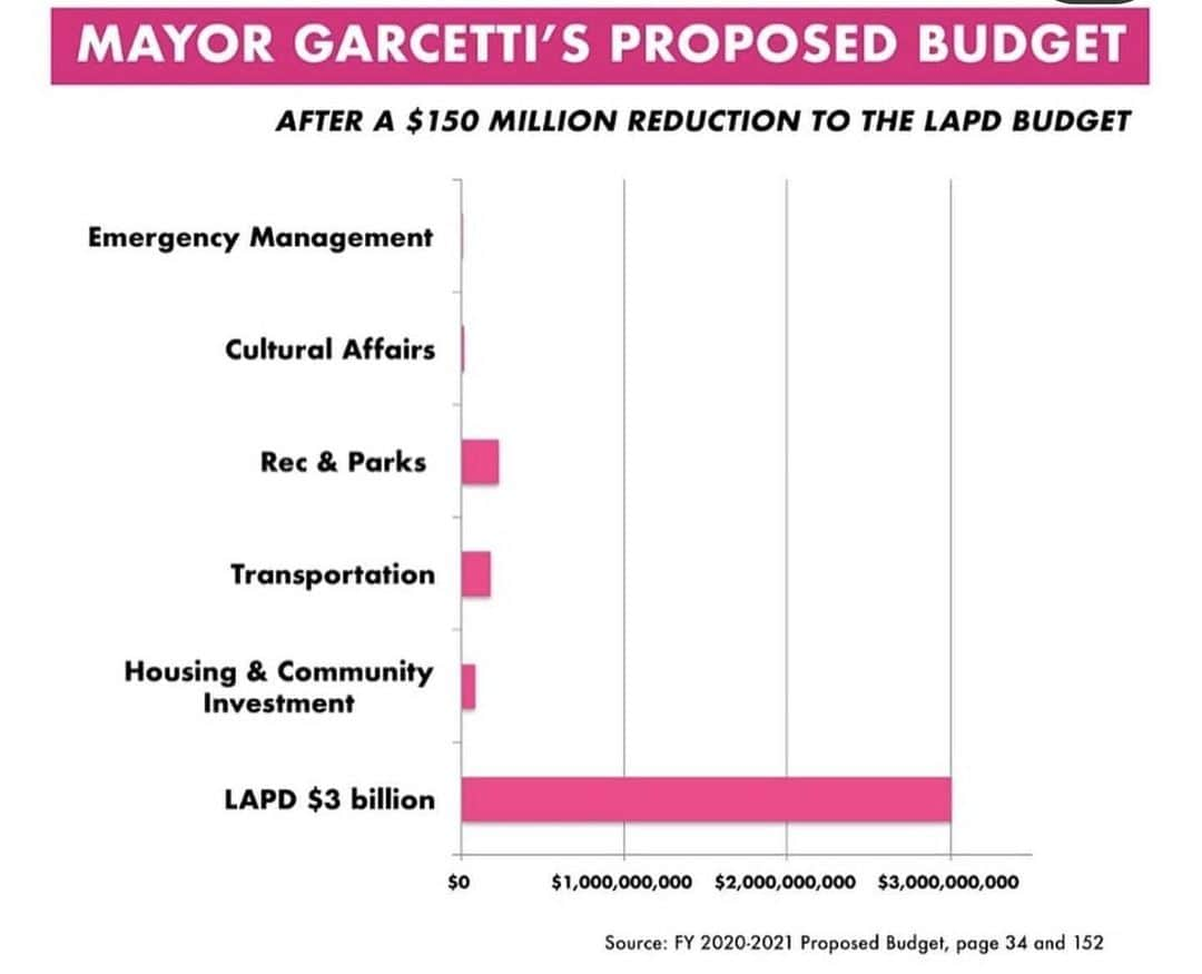 ハナー・ハートのインスタグラム：「"Defunding the Police" means reallocating gratuitous spending from one bloated budget to other public services that are holding on by a thread: education 🧑🏼‍🏫, healthcare⚕️, housing 🏠, transportation🚌, fire👨‍🚒, and more. 💕  THERE IS SO MUCH INFORMATION OUT THERE. Go to my story for my favorite link.  I strongly rec getting informed about what it means. This could be better for the ENTIRE COUNTRY.  IF YOU HAVE QUESTIONS: Google "Police Abolition" for more.  Shout-out to @bishilarious for always posting and tweeting the hot hot facts.」