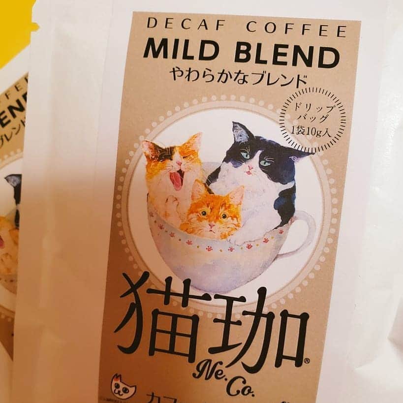 朱神宝のインスタグラム：「頂き物の珈琲。可愛くて優しい猫珈だにゃん🐈 #猫珈」