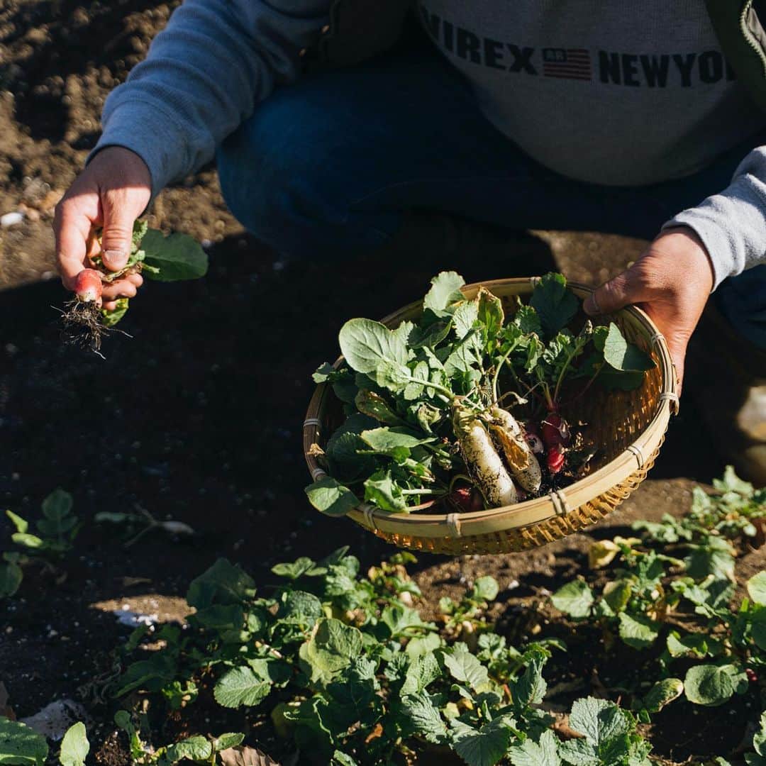 BESSの家さんのインスタグラム写真 - (BESSの家Instagram)「「まだまだ、試行錯誤中の畑づくり。やっと、サラダや鍋などにいれて、食卓に並ぶようになりました。うちの畑で芽を出し、手塩にかけて育てた野菜はかわいいし、愛おしいですね」。 . https://www.bess.jp/ . #未来はここBESSライフ#BESSの家 #住むより楽しむBESSの家 #住むより楽しむ #スローライフ #ワンダーデバイス #木の家 #ログハウス #BESSオーナーの暮らし #BESSユーザーの暮らし #LOGWAY #梺ぐらし #暮らし #暮らしを楽しむ #畑#食卓#おうち時間」6月8日 18時23分 - bess_slowlife