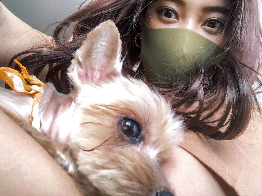 のインスタグラム：「. お久しぶりです。 少しの間SNSの更新をしていなくて DMなどで大丈夫？とメッセージをくれた方もいました。 心配をかけてしまってすみません😖 私は元気です😊💪 ありがとうございます😌❤️ . . . ここからは私事で少し暗い話になってしまいます、 もしも気分を悪くさせてしまったらすみません。 . . 少し前に実家で飼っていた愛犬が 天国に旅立ってしまい、最後のお見送りをしました。 . 13年間と約4ヶ月、長生きをしてくれました。 私たちの元に来てくれてありがとう。 たくさんの笑顔を与えてくれてありがとう。 最高に幸せな時間をありがとう。 わっふるも私たちと出会って幸せに過ごせたかな？ これからもずっと忘れないし、 わっふるとの思い出はずっと心の中に 刻み込まれているからね。 世界一可愛い自慢の愛犬です。 ずっと大好きだよ。 . もう会えないと思うとまだ涙が溢れてきます。 あの時もっと一緒に遊んでおけばよかったなぁ。 もっと一緒に時間を過ごせばよかったなぁ。 と、後悔することもあります。 ですが、わっふるの為にもこれからも 笑顔で溢れる日々を送れるように。 そして後悔のない人生を送りたいなと改めて思います。 . どうか天国でも幸せに。 また会おうね。 . 💐💜」