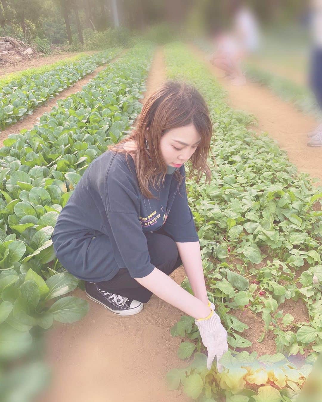 菅原紗由理のインスタグラム：「以前から、雑誌などで目にする度 気になっていた、 都心から約1時間半ほどの場所にある農場へ、 収穫体験をしに行ってきた。👩🏻‍🌾 ここ最近、家で過ごす時は 鳥の声をBGMにして過ごしていた私ですが、 ここでは、生の「ホーホケキョ」が鳴り響く。 風も気持ちが良い。  ジャガイモと、ラディッシュ。  包丁で根から切り離し、艶々のキャベツも収穫。 ずっしり。🥬 実際に砂まみれになりながら引っこ抜いてみると、 本来は、こうしてゴロゴロと根にくっついてて、 もっと泥んこで、でも生き生きして 誰かの手によって 時間をかけて育てられている野菜たち。  農業をお仕事にしているプロの方からしたら、 私が体験したことは ほんの一部の流れを体験したに過ぎないけど、 体験できたことが嬉しい。  人懐っこく近づいてきてくれる ヤギちゃまにも、会えた。 「おつかれさん」 と言ってくれているような優しい顔。  早速、自分で収穫したジャガイモと、 家にあったツナ缶を混ぜて、 おつまみを作った。甘くてほくほく。 美味しくいただきました。🥔」