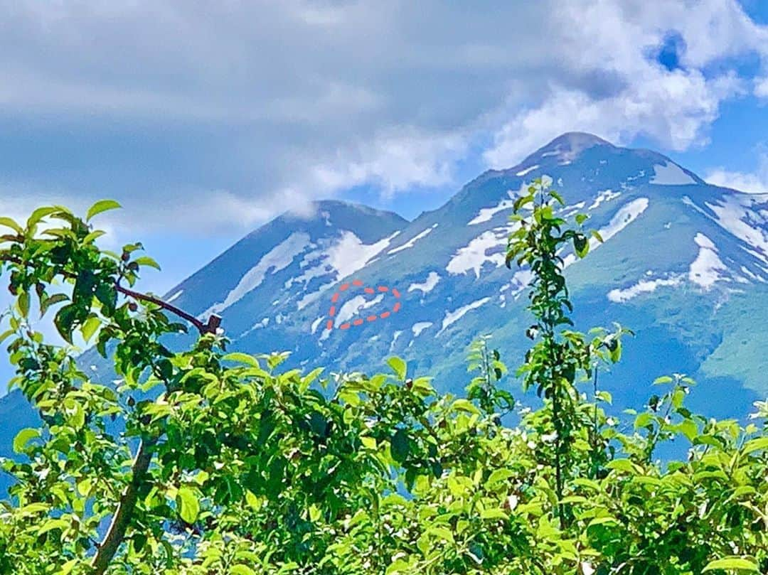 王林さんのインスタグラム写真 - (王林Instagram)「❤︎ 岩木山。この景色が好きだ。 この空気が好きだ。 この香りが好きだ。 . これだから青森が好きなんだ。 . 青森では岩木山の山肌に表れた残雪がハート型に見えるとニュースになってるんですよ🏔💗 . 写真の丸をつけたところ！ その上もハートに見えるけれど、日に日に雪が溶けて変わっていくからね、それも見られるのが青森のいいところなんです😳 . #aomori #hirosaki #iwakisan #岩木山 #青森県 #弘前 #残雪 #景色  #1625」6月8日 11時01分 - ourin_ringoooo