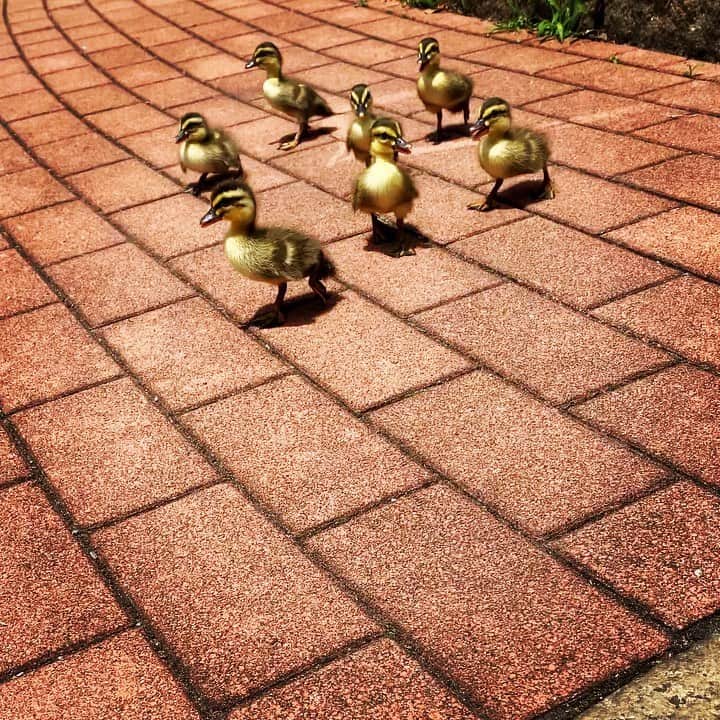 浅岡雄也のグルメインスタ