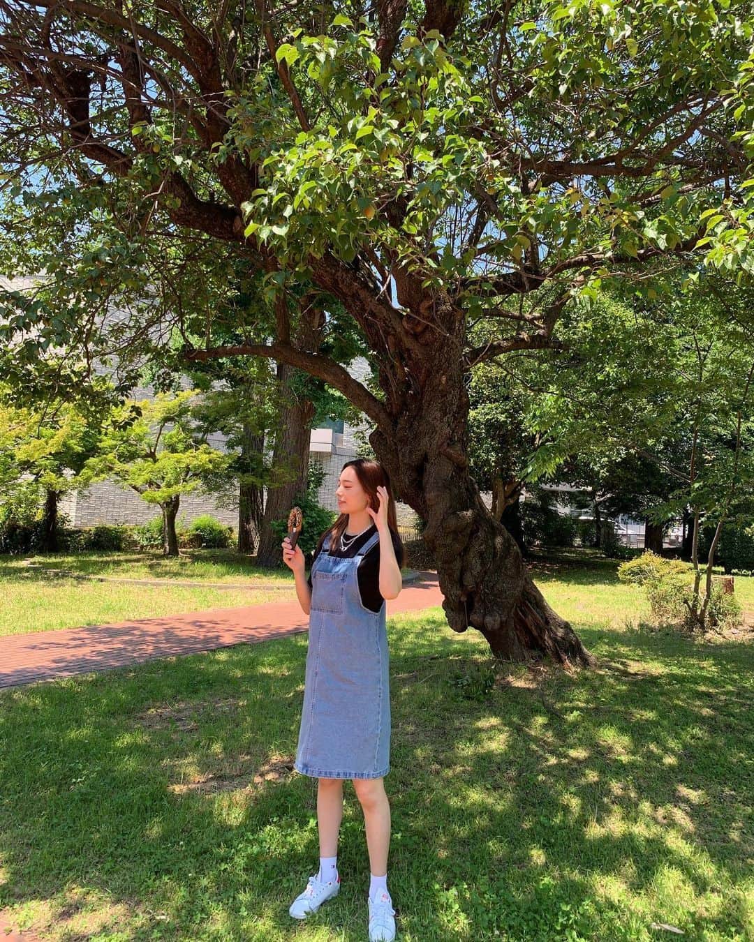 のインスタグラム：「🌳」