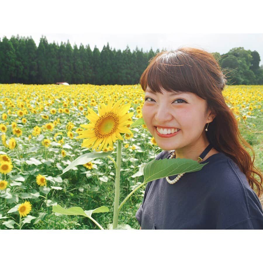 のインスタグラム：「今日から全国で「ひまわりっ」をご覧頂けます🌻 TVerとFODでの配信がスタートしました✨ 1話15分×10話で見やすいです👀超ローカルコメディで笑ってほっこりする時間をお楽しみください🌻 FODのアプリを無料インストールしてぜひご覧ください(^^) こちらのアカウント( @himawari_umk )もチェック✨  最近ひまわり関連の写真をあさっています。 こちら5年前の夏の写真です。 5、5年前...😱 若いですね😂  #ひまわりっ #高鍋ひまわり畑」