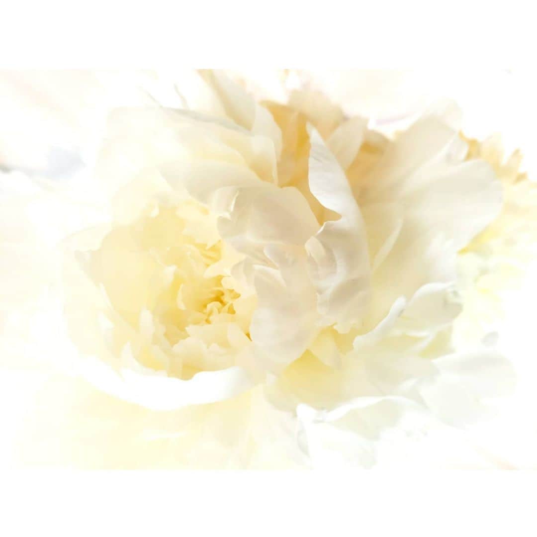 中村まきのグルメインスタ