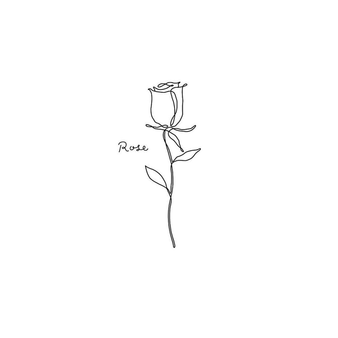 moekoさんのインスタグラム写真 - (moekoInstagram)「🌹🌹🌹 #Rose #illustration」6月8日 13時31分 - moeko_dr