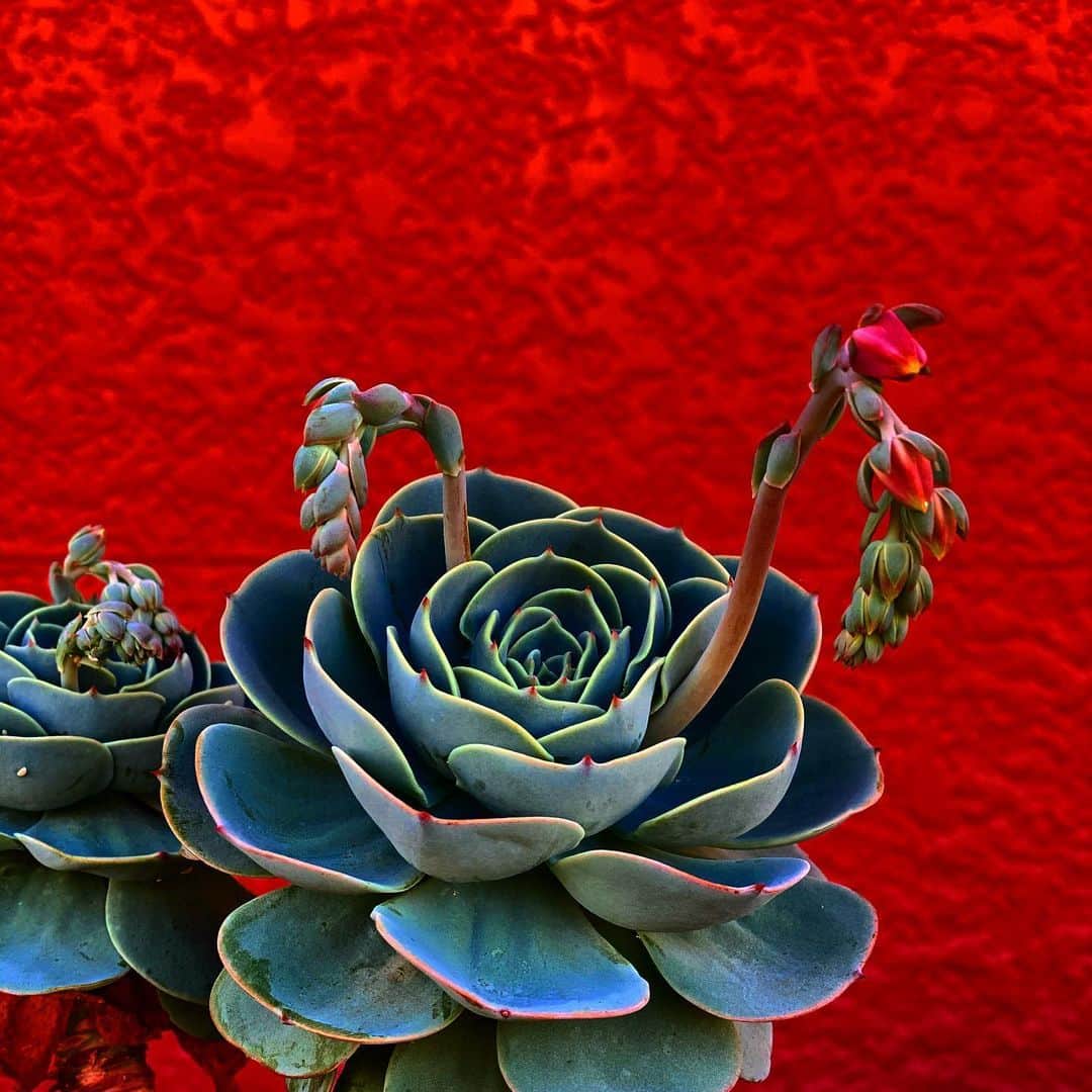 魔女菅原のグルメインスタ