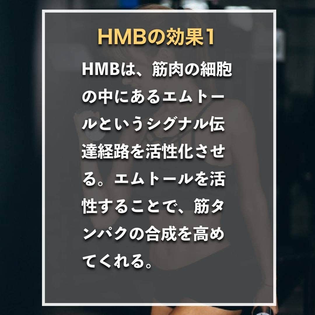 山本義徳さんのインスタグラム写真 - (山本義徳Instagram)「【飲むだけでは痩せないHMBとは】  よく「飲むだけで痩せる。」と言われるHMB 実際の効果はどのようなものなのでしょうか？  HMBが働く仕組みや正しい摂取方法を知らないままだと、 満足な効果を得られないことをご存知でしたか？ HMBの働きと、効果を出すための飲み方を山本義徳先生が解説します💪  #HMB #ダイエット #筋トレ #筋肉 #サプリメント #エクササイズ #筋トレダイエット #筋トレ初心者 #筋トレ男子 #筋肉女子 #筋トレ好きと繋がりたい #トレーニング好きと繋がりたい #トレーニング男子 #筋肉好き #筋スタグラム #トレーニング初心者 #筋肉トレーニング #トレーニング仲間 #山本義徳」6月8日 20時00分 - valx_kintoredaigaku