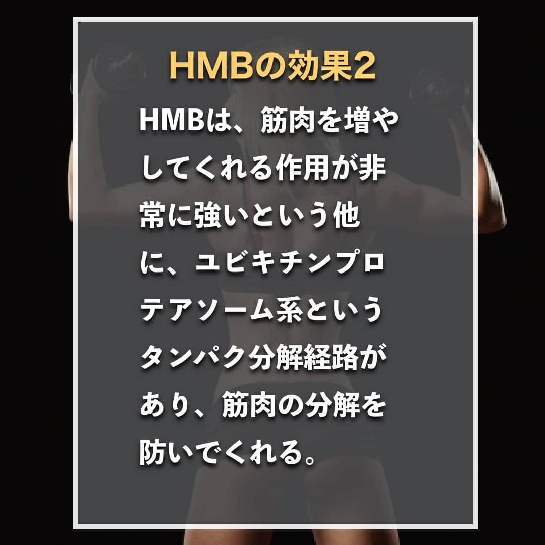 山本義徳さんのインスタグラム写真 - (山本義徳Instagram)「【飲むだけでは痩せないHMBとは】  よく「飲むだけで痩せる。」と言われるHMB 実際の効果はどのようなものなのでしょうか？  HMBが働く仕組みや正しい摂取方法を知らないままだと、 満足な効果を得られないことをご存知でしたか？ HMBの働きと、効果を出すための飲み方を山本義徳先生が解説します💪  #HMB #ダイエット #筋トレ #筋肉 #サプリメント #エクササイズ #筋トレダイエット #筋トレ初心者 #筋トレ男子 #筋肉女子 #筋トレ好きと繋がりたい #トレーニング好きと繋がりたい #トレーニング男子 #筋肉好き #筋スタグラム #トレーニング初心者 #筋肉トレーニング #トレーニング仲間 #山本義徳」6月8日 20時00分 - valx_kintoredaigaku