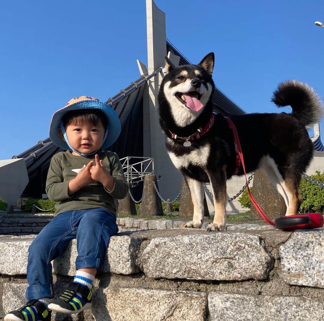 vo_coのインスタグラム：「👦🏻🐶 日曜の午後になると原宿も代官山も渋谷も人は多くて密だったけど、ずっと工事してた国立代々木競技場の第一体育館はまだ知られていないのかほぼ誰もいない貸し切り状態で穴場スポットでしたん 流石にもう2か月終日一緒に生活してるのでちよっと距離の縮まったお二人さんなのでした * #こたつとぼくちゃん  #shibastagram #instashiba #shiba #shibainu #黒柴 #柴犬」