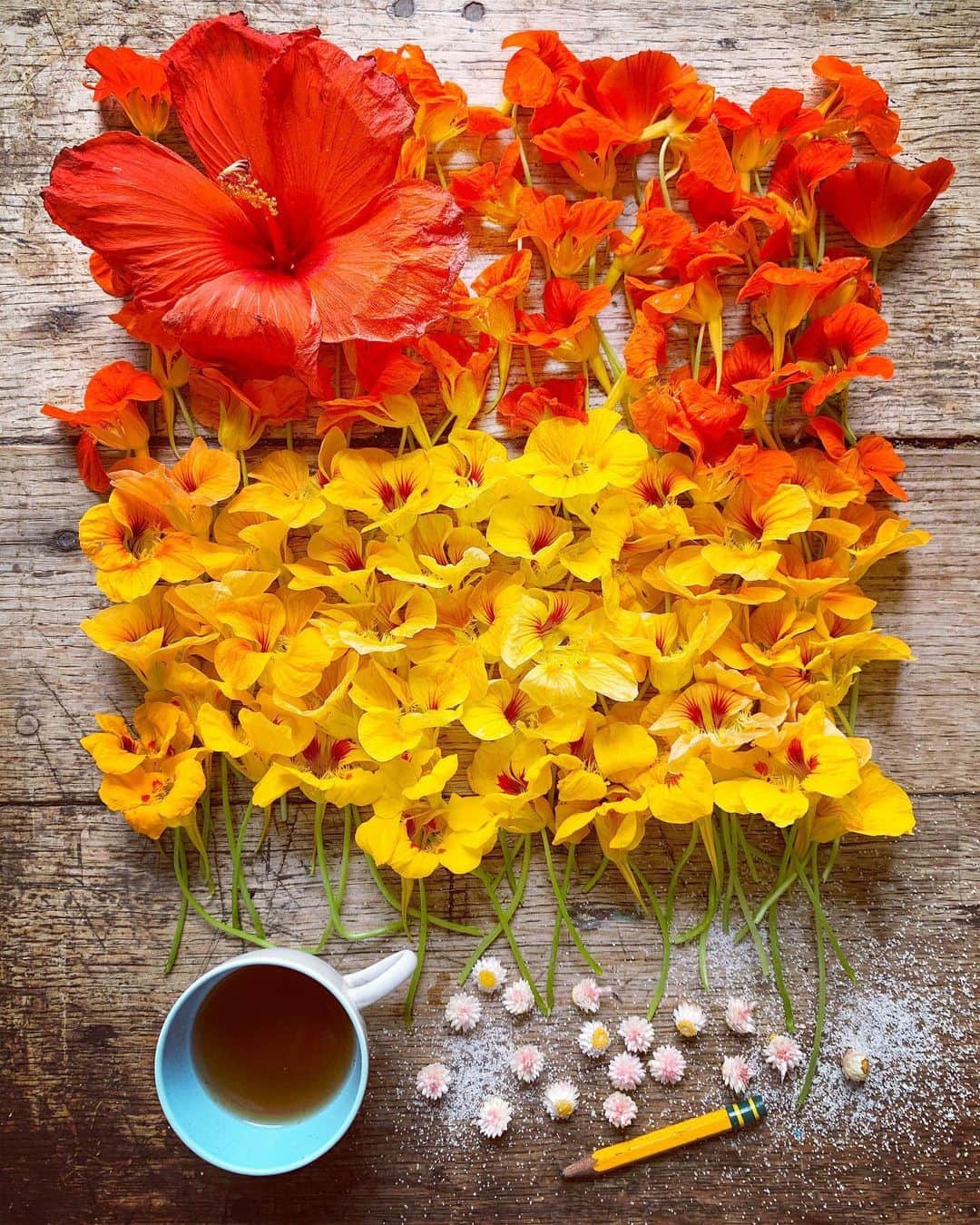 Tea and sittingのインスタグラム：「❤️🧡💛 “ I am open to your truth/tough love even if it may bruise my ego and alter my reality” - words taken from a post by @hailethomas about ‘What to say when you don’t know what to say’ ********************************************* @hailethomas generously offers some words to help, teach and encourage us out of silence when wanting to express support for black people and other IPOC. Thank you so much @hailethomas , your words are appreciated and seen. ********************************************* Difficult, ego dismantling conversations with both ourselves and with others may have started, and they will need to continue if we are to hold ourselves accountable, to listen, learn and take action...they can often  be awkward and uncomfortable confrontations but they are always opportunities for growth... I also want to acknowledge and promote here, the incredible guidance and teaching of @novareidofficial through her life changing online anti racism course ♥️ ********************************************* Hope you all have a great week ✨🌿 ********************************************* #blacklivesmatter #amplifyblackvoices #amplifymelanatedvoices #revolutionaryconversations #antiracism」