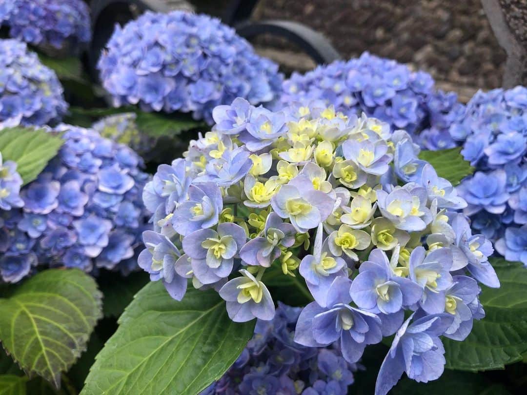 藤坂奈央のグルメインスタ