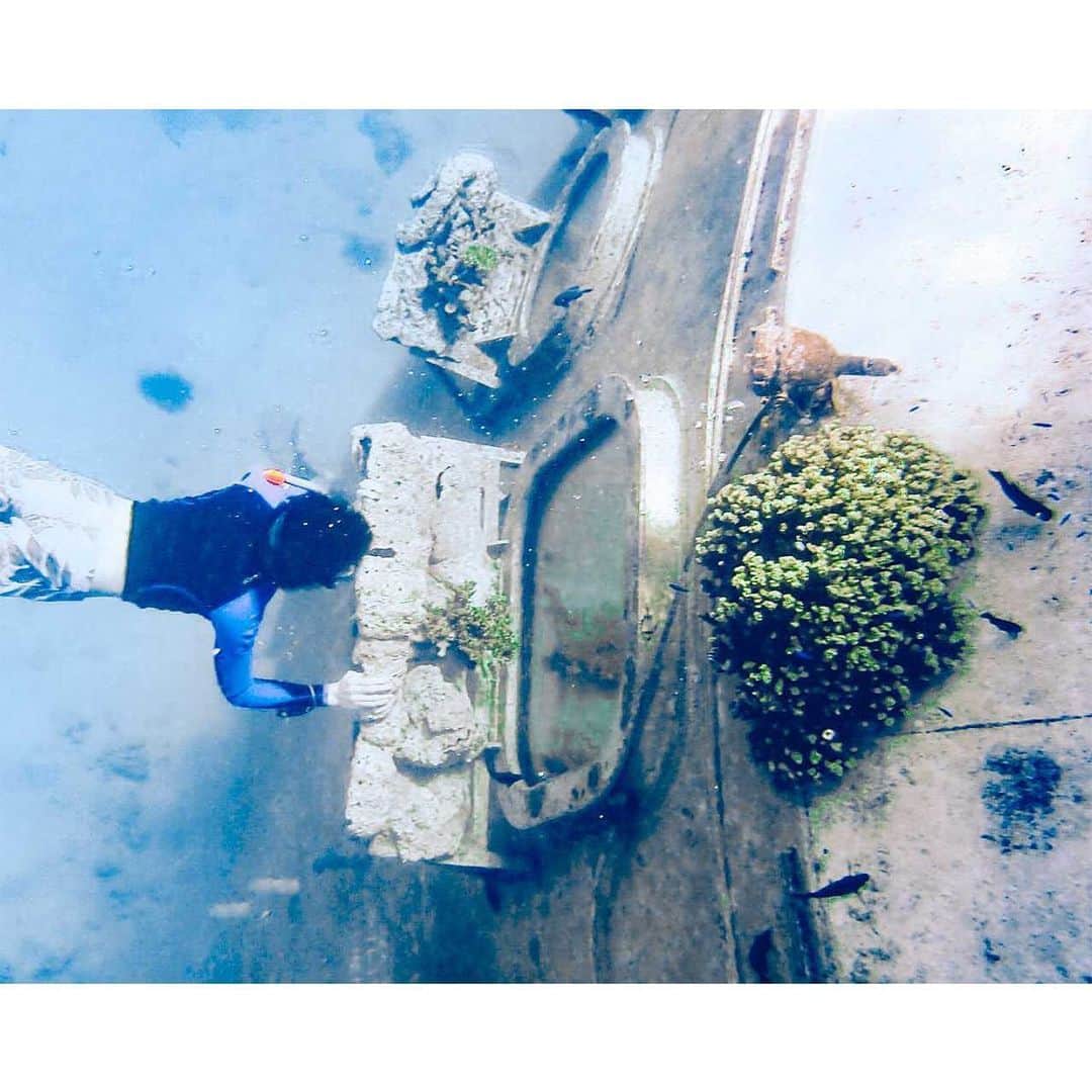 アメリカ大使館さんのインスタグラム写真 - (アメリカ大使館Instagram)「6月8日は世界海の日🐢(World Oceans Day 🌊) . 写真の海は、日本から一番近い🇺🇸グアムの海です🏖 グアムの海は透明度が抜群！ ホテル街から少し足を伸ばして穴場のビーチに行けば、そこにはカラフルな大自然が待っています✨ *この写真は、テプンガンビーチパーク(Tepungan Beach Park)エリアからのものです。 . #usa #america #studyabroad #livinginamerica #ocean #worldoceansday #guam #scubadiving #colorfulworld #underthewater #oceanlife #fish #beach #vacation #アメリカ #アメリカ生活 #留学 #グアム #旅行 #世界海の日 #スキューバダイビング #海 #海の中の世界 #魚と泳ぐ #カラフル #カラフルな世界 #グアム #ビーチ #日本から近いアメリカ」6月8日 16時59分 - usembassytokyo