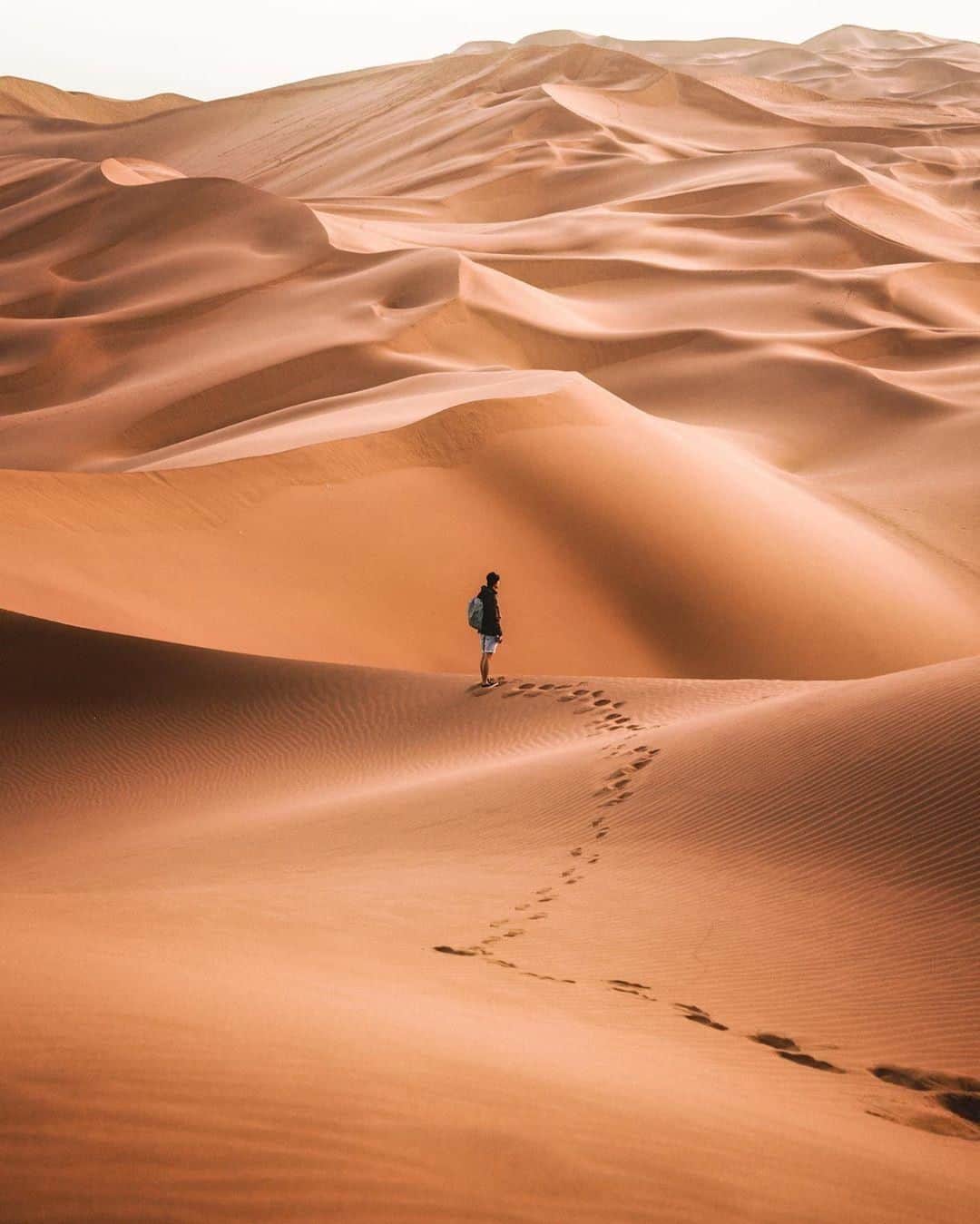 Canon Asiaのインスタグラム：「How stunning are these naturally-formed dunes in Kumtag Desert? Nature is indeed spectacular - it'll never let you down. ⁣. ⁣📷 Image by @des.kkkkkkkk shot using the Canon EOS 5D Mark III | EF24-105mm f/4L IS USM | f/4 | ISO 100 | 1/40s | 47mm ⁣. ⁣Want your photos to be featured too? Tag them with #canonasia or submit them on My Canon Story, link in bio! ⁣. ⁣#canonasia #photography #explore #dessert #sand #colours #canon #composition #lens #inspiration #nature #landscape」