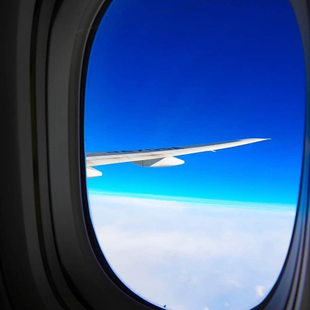 ANAさんのインスタグラム写真 - (ANAInstagram)「雲の上の世界✈️﻿ （Photo：@kokohana76）﻿ ﻿ #澄み渡る空 #雲の上はいつも晴れ #どこまでも飛んで行けそう #anaブルー #スカイブルー #窓 #雲 #翼 #機窓 #フラップ #エルロン #ボーイング777 #B777 #上空 #高度 #窓からの景色 #ダレカニミセタイケシキ #おうちでタビキブン #ソラマニ_マドカラ #sky #cloud #window #anablue #wing #fly #flight #anaairplane #ana_jp﻿ ﻿ 機窓からの風景は「#ソラマニ_マドカラ」をつけて投稿してね📷インスタやANAの各メディアでご紹介していきます💙」6月8日 17時28分 - ana.japan