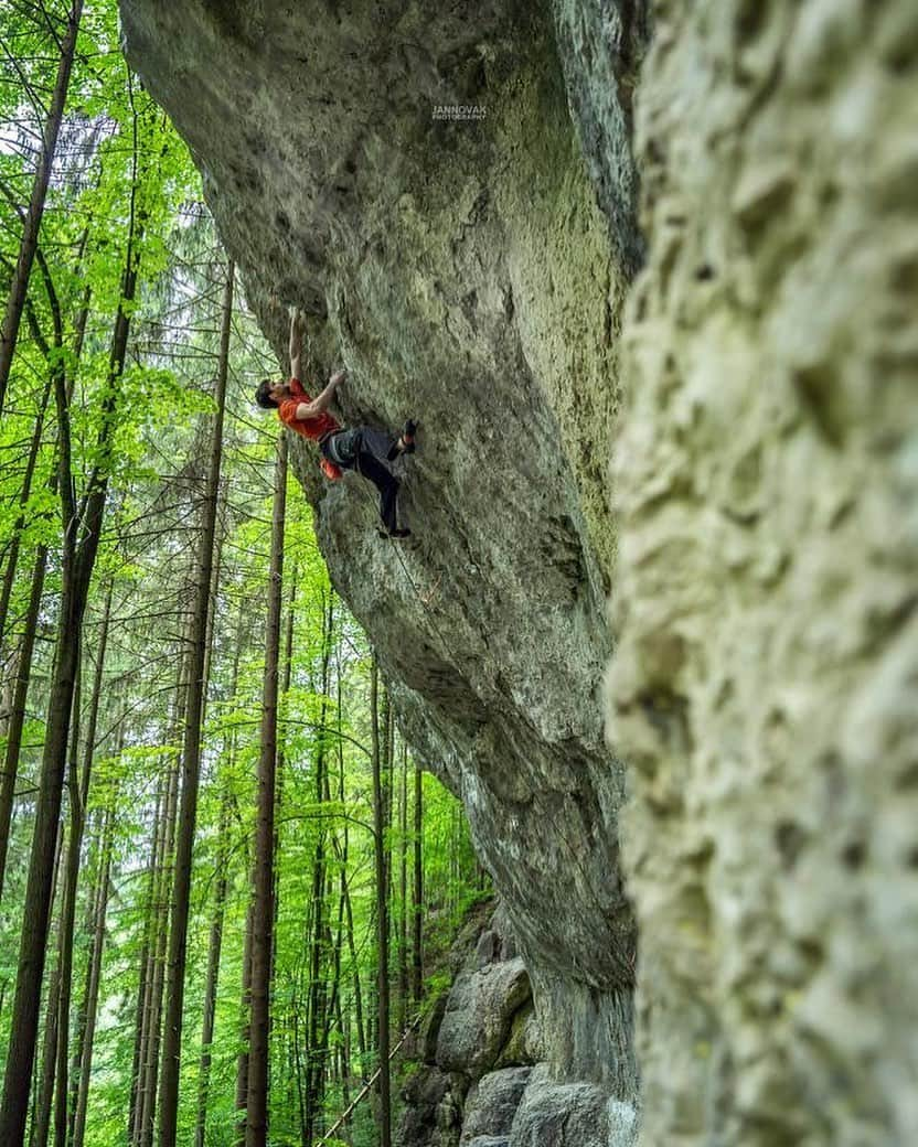 ヤン・ホイヤーのインスタグラム：「Throwback to the sunny days in the frankenjura where we met @jan_novak_photography on our last day 📸  Climbing 12 8c’s was fun! ...but I might be psyched to try something harder soon 🤔 @madrockclimbing  @mammut_swiss1862」