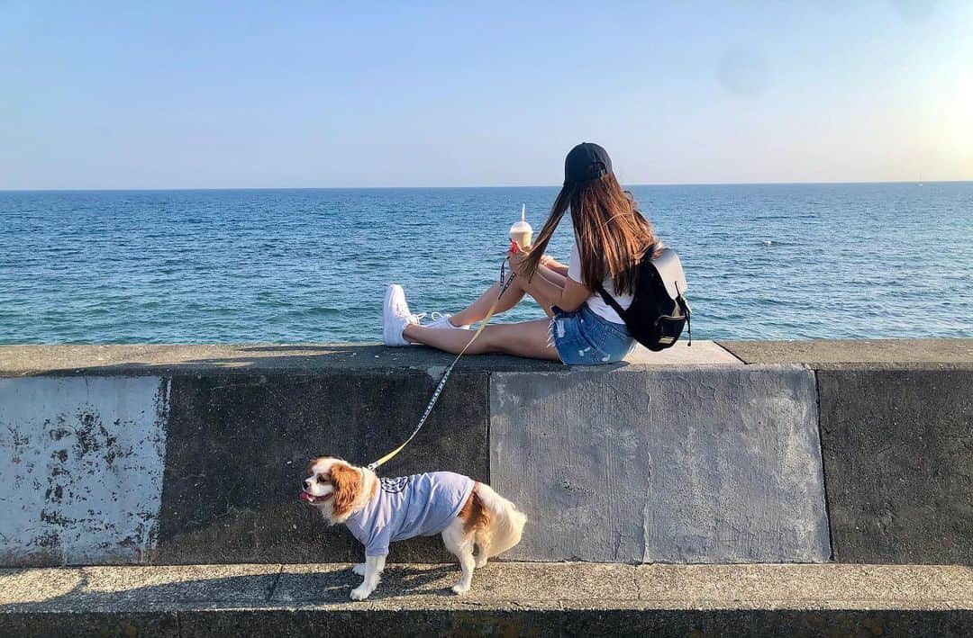 のインスタグラム：「やっぱり海が好き🤍 気持ち良かった〜☺️🏝 . . リュック➡︎ @gastonluga  15%off専用割引コード：chiharufit15 公式オンラインストア：http://gastonluga.com 送料無料 , #おしゃれバッグ #GastonLuga  #ガストンルーガ #江ノ島 #七里ヶ浜 #鎌倉 #湘南ライフ  #湘南スタイル #湘南に住みたい  #海好きな人と繋がりたい  #キャバリアキングチャールズスパニエル  #湘南ドライブ」
