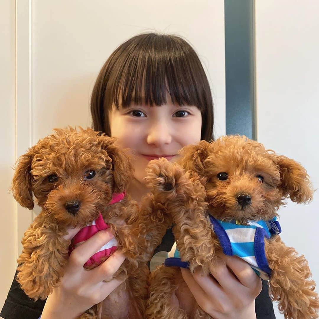 本田紗来さんのインスタグラム写真 - (本田紗来Instagram)「今日もおそろのおさがり💗🐶💚 さらが「ルルロロ〜」って呼んだら必死に走ってきてくれる姿が もう可愛すぎて癒しすぎてやばいです💓🙈🙈🙈💓 #ルルロロ」6月8日 17時59分 - sara_honda0404