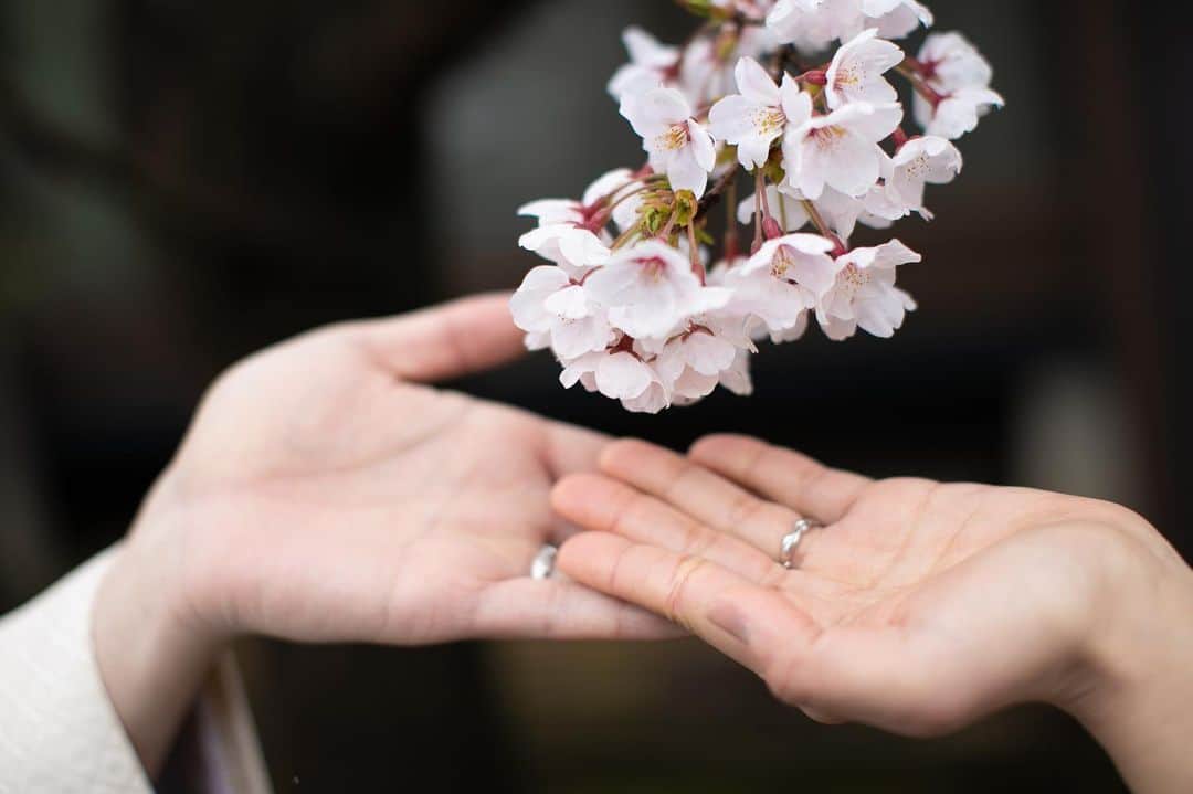 小林樓《新潟県見附市：結婚式場》のグルメインスタ