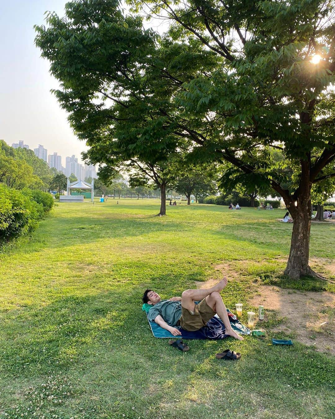イナチ のインスタグラム：「. 좋아😊🌴🌳🌵」