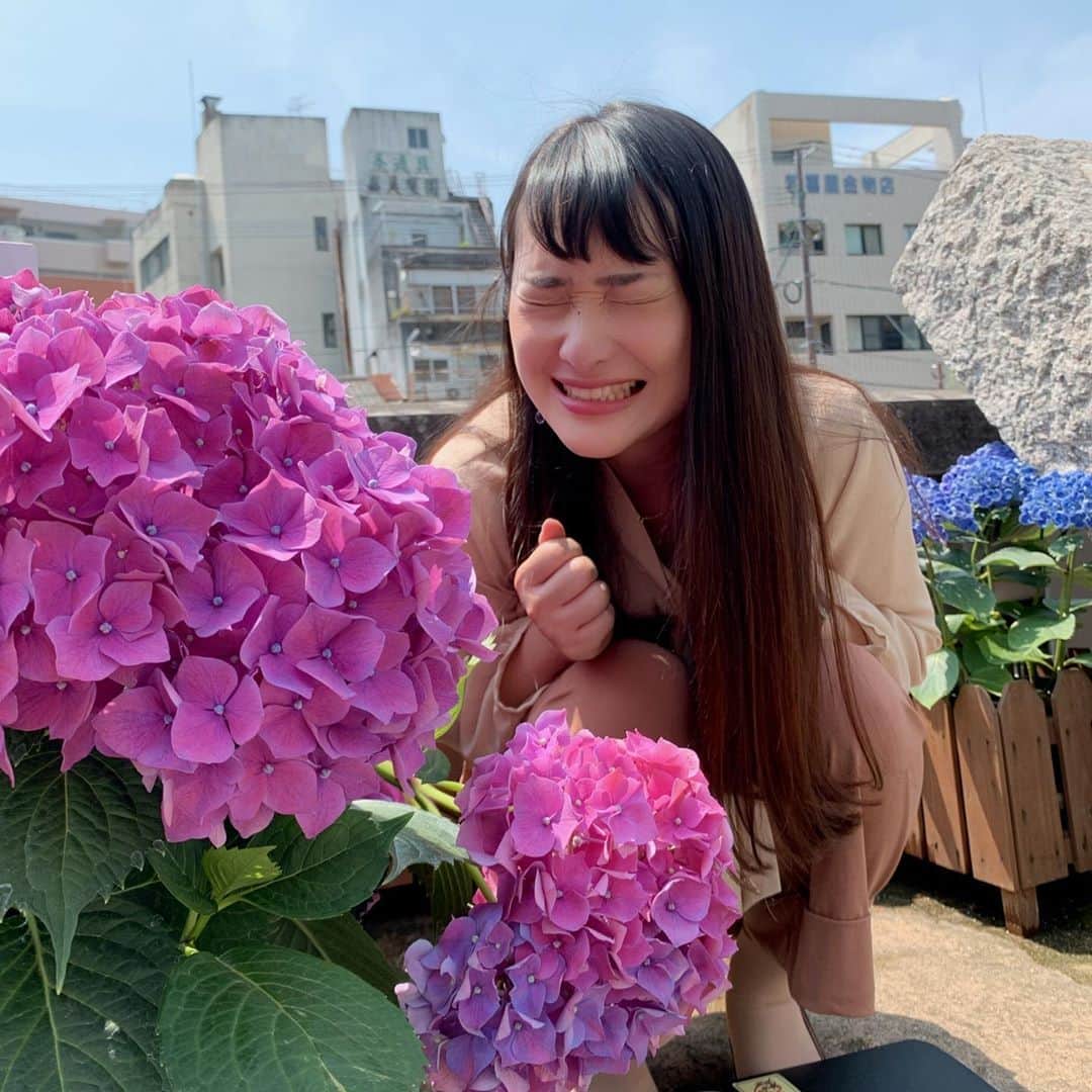 佐藤綾子さんのインスタグラム写真 - (佐藤綾子Instagram)「☀️紫陽花☂️﻿ ﻿ ﻿ 長崎地方気象台がアジサイの開花を発表しました！﻿ といってももう街中には﻿ 淡く色とりどりのアジサイが﻿ 咲いてますよね☺️﻿ ﻿ アジサイはバラと同じくらい好きです、﻿ 生まれ月に咲く花だからかもしれません。﻿ 小さな花やがくがぎゅっっ！！！としている様は﻿ 一致団結、和衷共済。﻿ バラのように華やかな香りはありませんが﻿ 視野いっぱいに広がる滲んだ色合いが﻿ 私はだいすきです。﻿ ﻿ このあとのJチャン長崎で﻿ 中島川沿いの様子をテレビでお届けしまーす！！﻿ 見てくださーい！！﻿ ﻿ #スーパーJチャンネル長崎 #Jチャン長崎﻿ #紫陽花 #アジサイ #あじさい #中島川 #眼鏡橋 #あじさいまつり #紫陽花まつり #長崎 #nagasaki﻿ #ncc #長崎文化放送 #アナウンサー #取材日記」6月8日 18時09分 - satoaya_ncc
