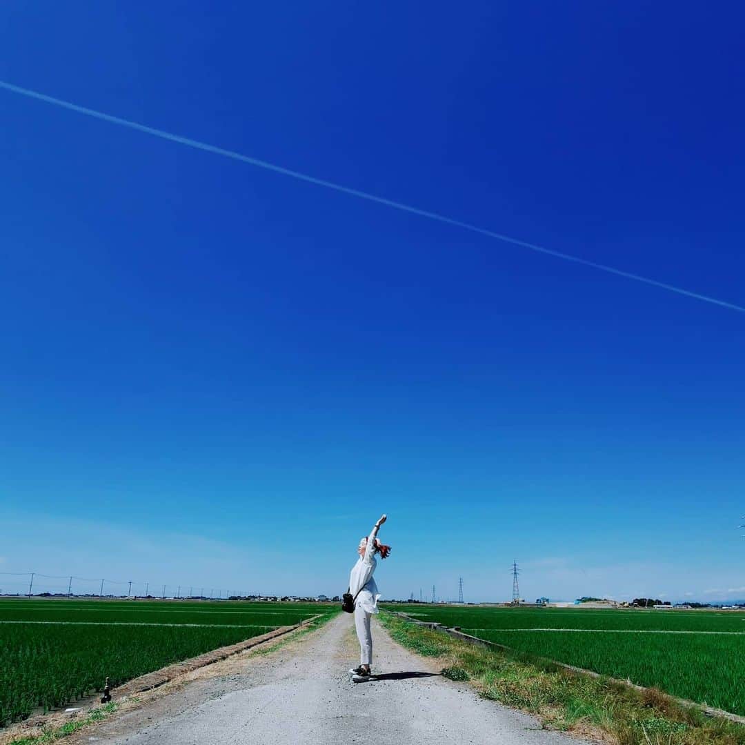 貴愛kwiae Officialのインスタグラム：「吸い込まれそうな青 * * * ありがとうと伝えて 東京にもどります。 * * * #sky #blue #田んぼ  #飛行機雲 #☁ #コシヒカリ#ricefield  #rice #bluesky #love #niigata #forever #pic #photooftheday #shooting  #アイシテルニイガタ」