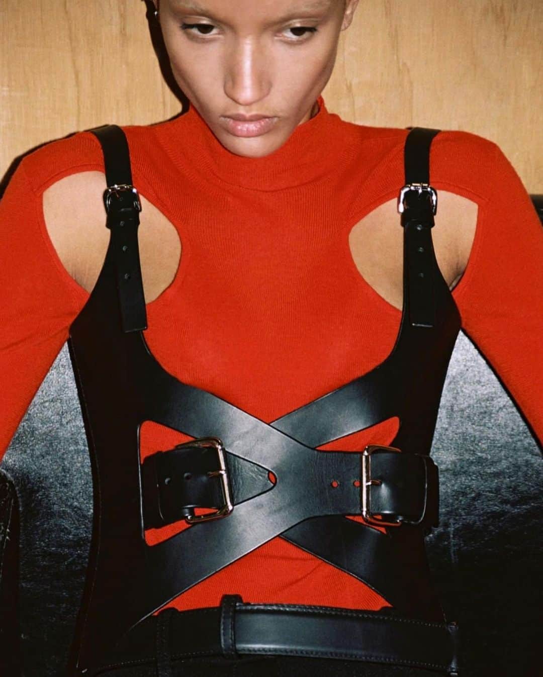 のインスタグラム：「@georgiapalmer and the FI x DL Harness.」