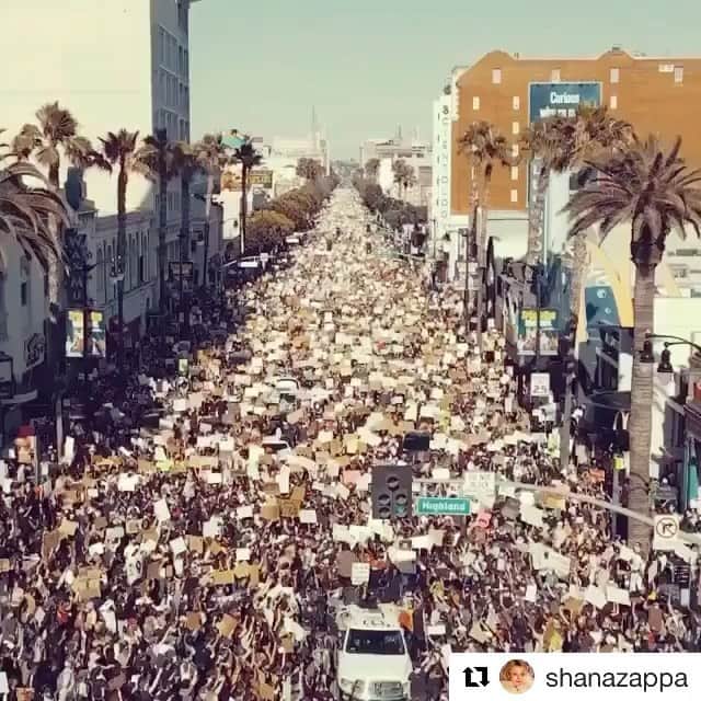 ブレッキン・メイヤーのインスタグラム：「“The streets of heaven are too crowded with angels.” This weekend the city of angels marched for them. #blacklivesmatters #blmlosangeles 📷: @shanazappa & @yakooza」