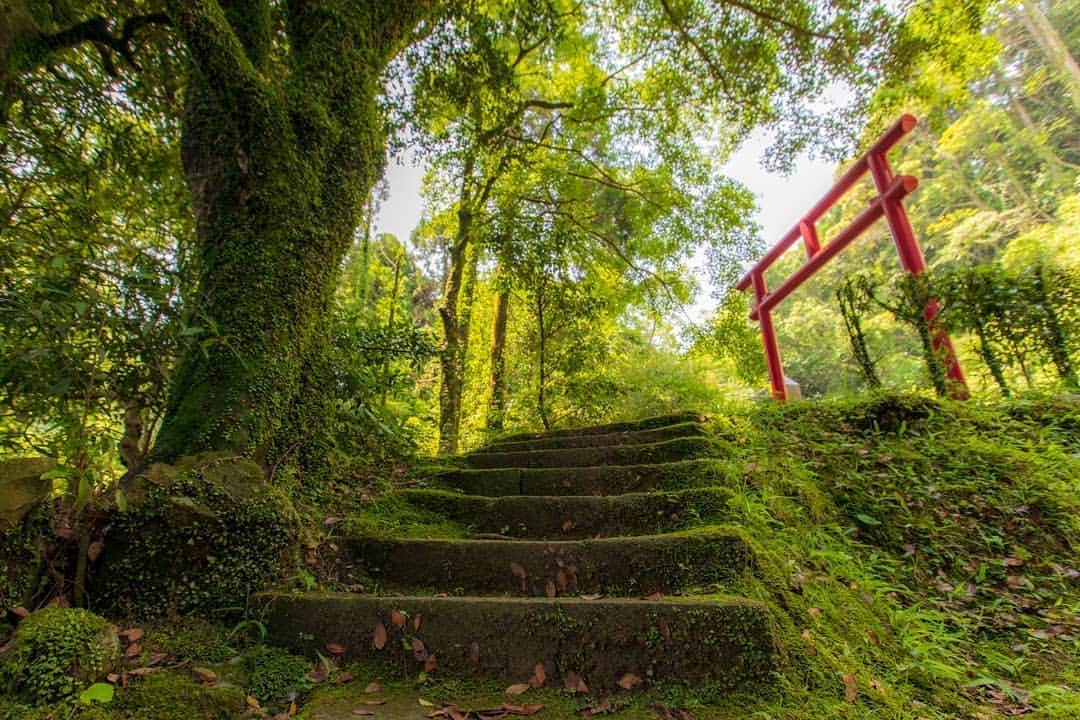 鹿児島よかもん再発見のインスタグラム：「指宿市の山中にある湯権現こと湯之峯神社へ(^-^)/ 風情のある山の中の神社ですが、神社の脇から下へ降りていくと、広がる火山噴気帯が‼️ 吹き出る蒸気に立ちこめる硫黄の匂い、そしてボゴボコと涌き出る温泉。。 指宿の奥深さを感じる場所でもあります。。 ※最近、メッセージなどで場所の問い合わせが多いのですが、極力わかりやすく伝えても、伝えたあと何の返信もない方が多く、気持ちとして少し疲れてしまいます。。逆に多くのいいね！やコメント、メッセージに癒されたりもするのですが、私の方も全てに返信ができておらずその点は申し訳ない限りです(^^; #鹿児島 #鹿児島観光 #指宿 #指宿観光  #神社 #湯之峯神社 #湯権現 #鹿児島の風景 #鹿児島の自然 #japan #kagoshima #kagoshimaphotograph」