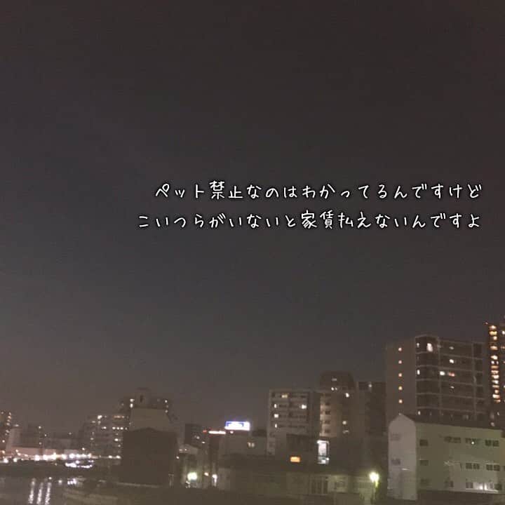 永見さんのインスタグラム写真 - (永見Instagram)「#空 #大阪」6月8日 20時28分 - mtmkmngm