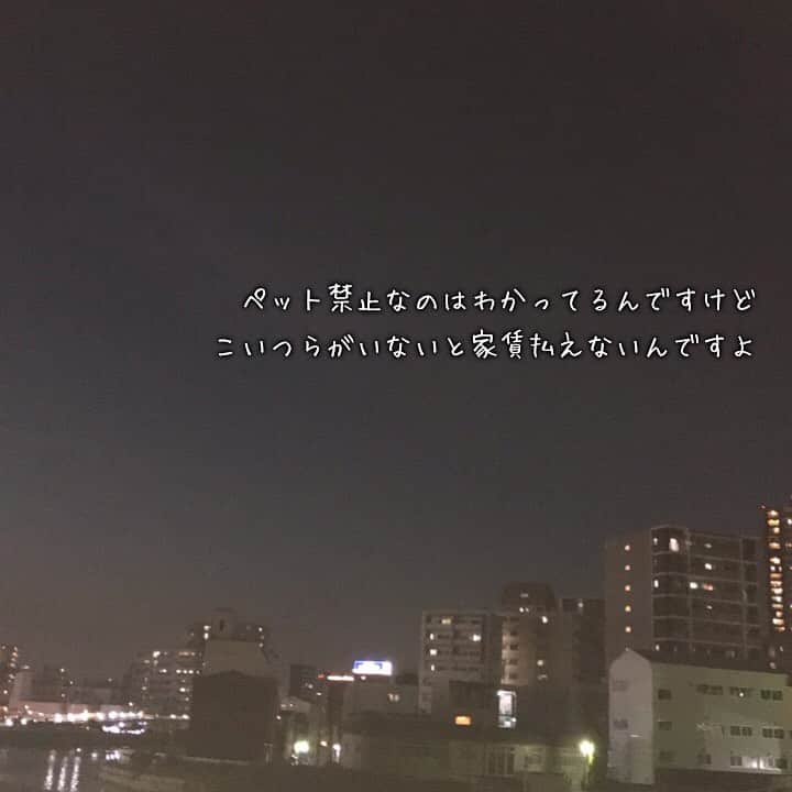 のインスタグラム：「#空 #大阪」