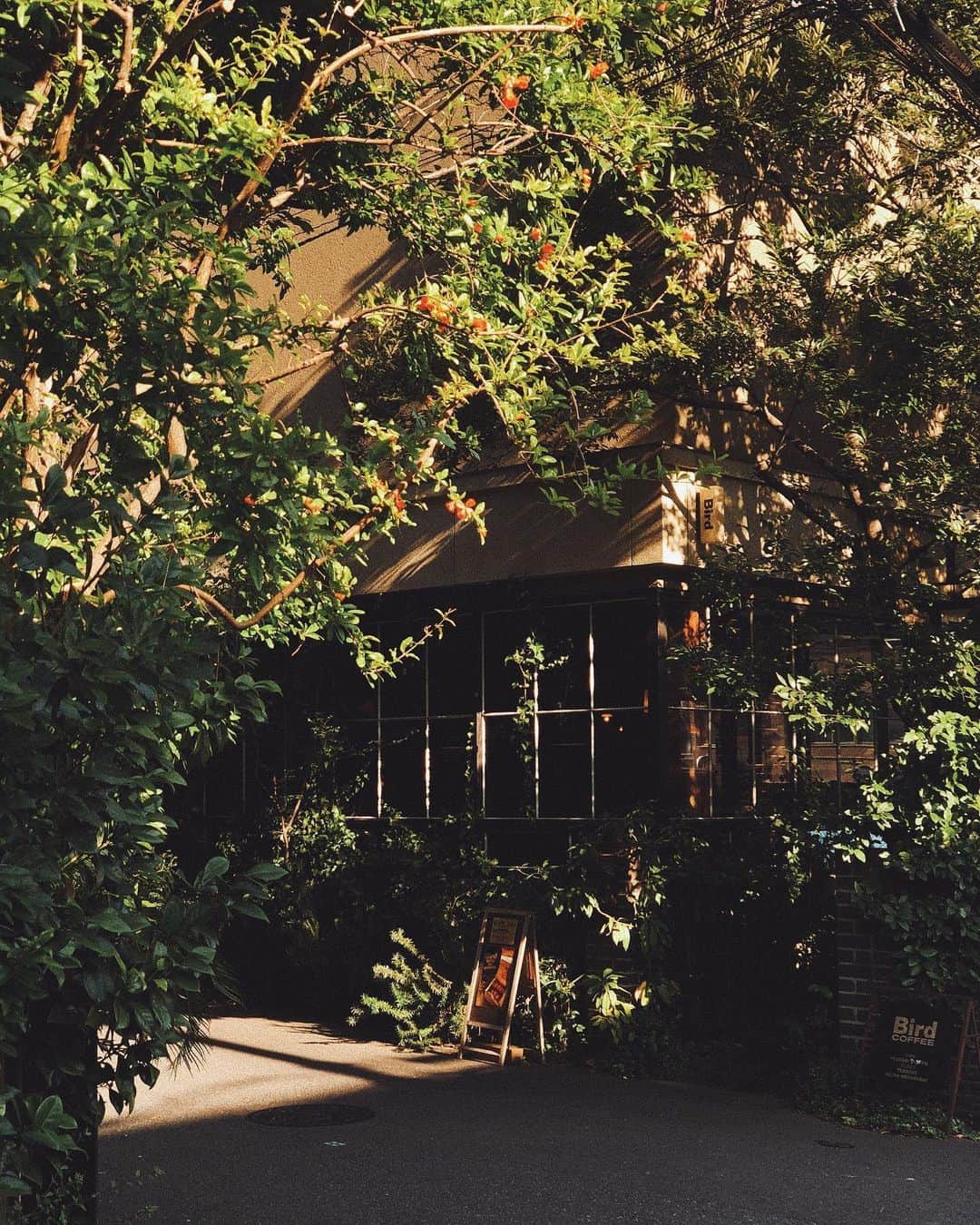 陣内勇人のグルメインスタ